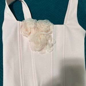 Showpo corset pink top